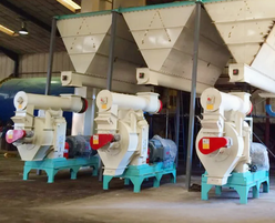 Máquina Molinera de Pellets de Madera de Biomasa con Ahorro de Energía