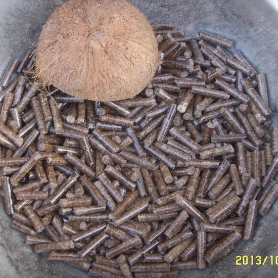 Biomass Wood Pellet Machine for Material Processing