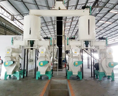 Molino de Pellets de Matriz Anular